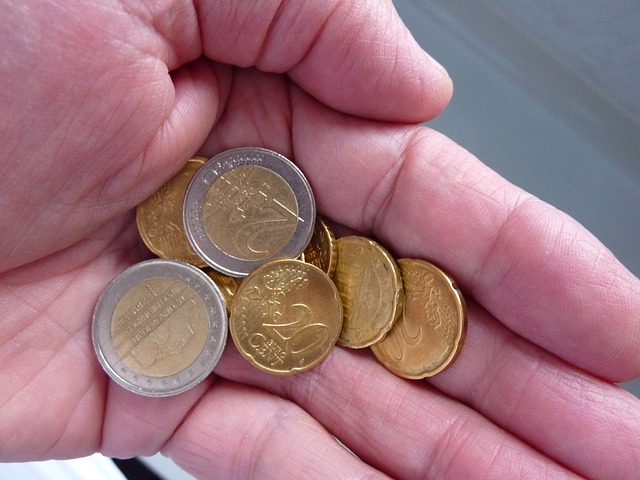 euromince v dlani